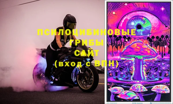 спиды Богданович
