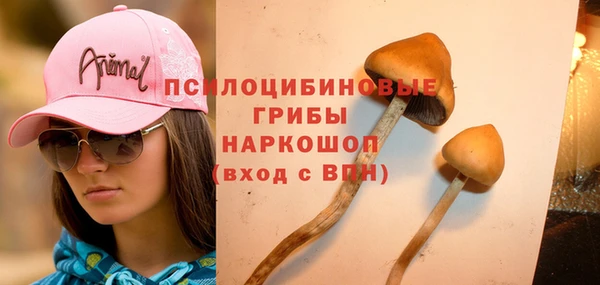 спиды Богданович