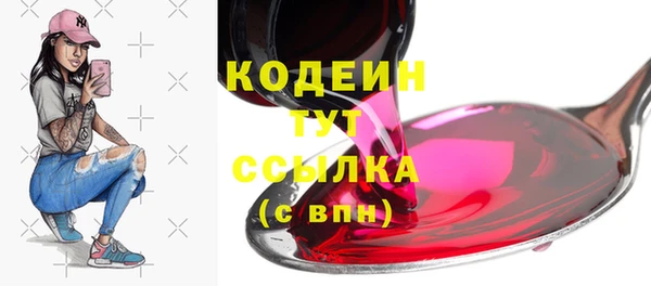 спиды Богданович