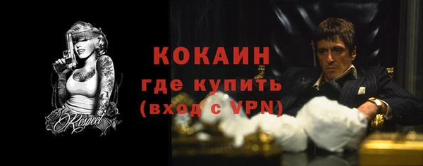 спиды Богданович