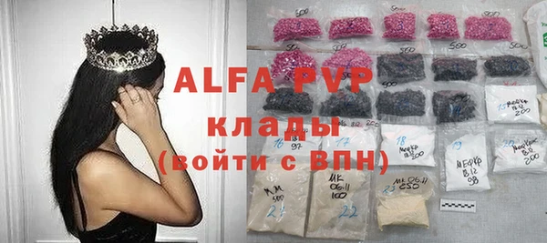 спиды Богданович