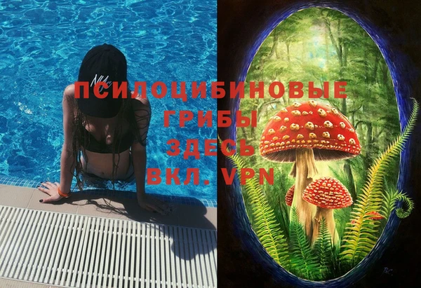 марки lsd Богородицк
