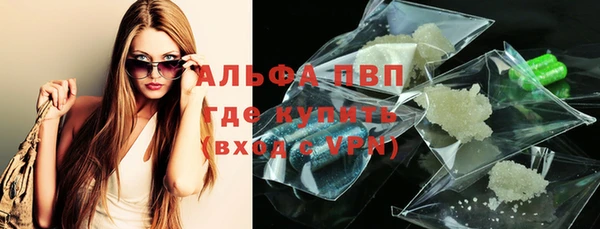 спиды Богданович
