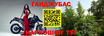 кокс Кингисепп