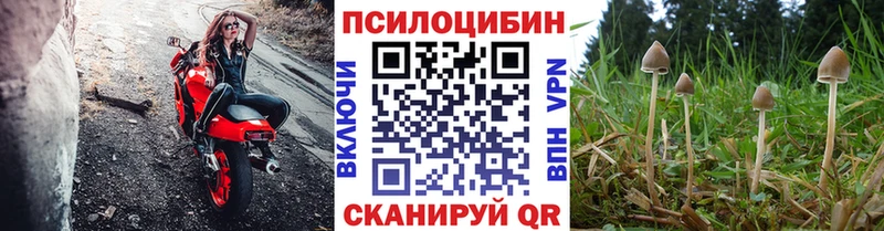 Псилоцибиновые грибы Psilocybe  мориарти как зайти  Наро-Фоминск  где можно купить наркотик 