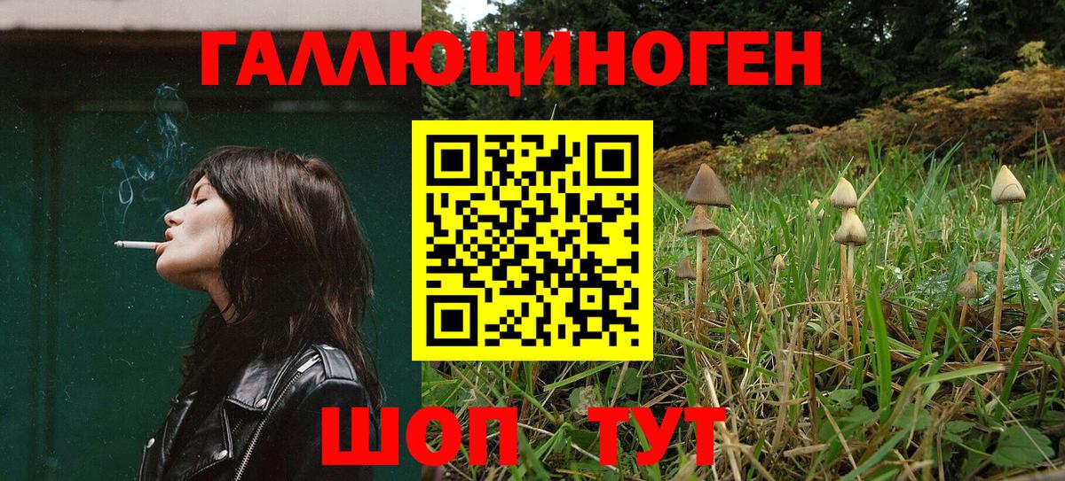 Псилоцибиновые грибы GOLDEN TEACHER Наро-Фоминск