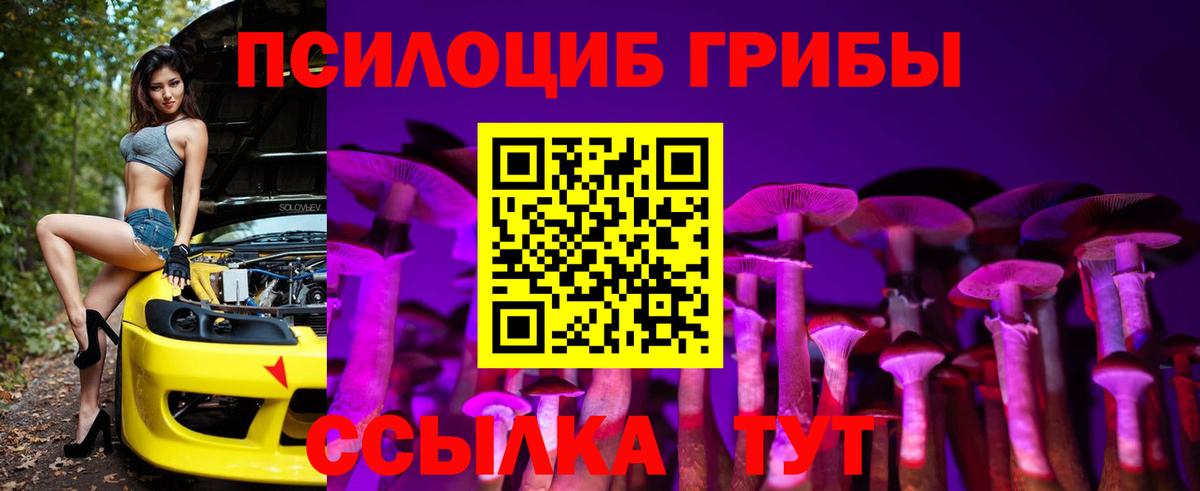хочу наркоту  Вход с VPN  Наро-Фоминск  Псилоцибиновые грибы Magic Shrooms 